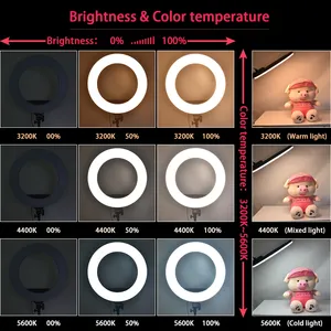 FOSOTO Wholesale Beauty 18インチTiktok写真ランプLedリングライト、三脚スタンド付きライブストリームメイク用Youtubeビデオ
