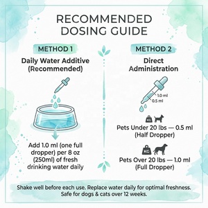 น้ำยาดูแลช่องปากสัตว์เลี้ยง OEM สำหรับสุนัขและ<span class=keywords><strong>แมว</strong></span> ช่วยให้ลมหายใจสดชื่น ลดคราบพลัคและหินปูน บำรุงสุขภาพฟัน ขนาด 60 มล. - Product Image 5