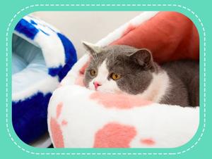 Vente en gros de paniers de lit écologiques pour animaux de compagnie en jonc de mer motif solide nid à fourrure long en peluche d'hiver - Product Image 4