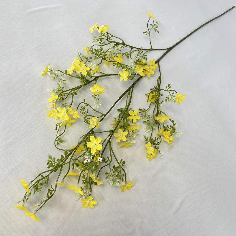 ดอกไม้ป่าเล็ก Magri