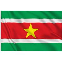 Expédition rapide, prêt à être expédié, 100% polyester, 3x5 pieds, drapeau du Suriname de haute qualité, drapeau de tous les pays