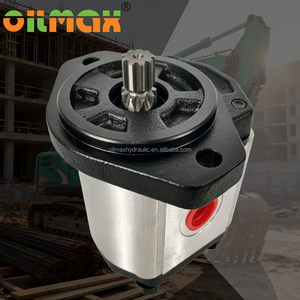 Pompe à engrenages universelle CI09S-A02-097L, raccord standard pour plusieurs machines de construction - Product Image 1
