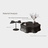 Table basse moderne noire de style papillon, fabriquée en Chine, avec tiroir, pour salon