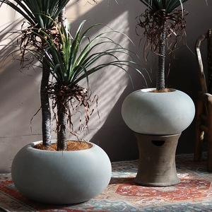 Pot de fleur créatif rond et plat en ciment et magnésium, plante verte, salon de thé nordique simple, <span class=keywords><strong>magasin</strong></span> de vêtements pour centre commercial - Product Image 3