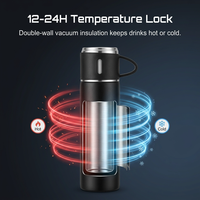 En stock, ensemble de gobelets isothermes en acier inoxydable, coffret cadeau, bouteille d'eau en métal à double paroi isolée sous vide avec 3 couvercles