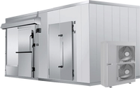 Chambre froide de vente chaude Walk in Freezer Walk in Cooler Walk in Chiller Cold Storage pour la viande