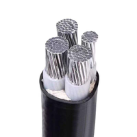 LX Aluminium 4-Adriges Niederspannungs-Luftkabel Bündelkabel mit PVC/XLPE-Isolierung (10mm-70mm)