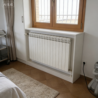 Radiateur plat moderne |   Chauffe-eau à économie d'énergie, idéal pour les projets résidentiels et hôteliers