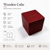 Cubes en bois massif écologiques et durables de 1,6 cm pour jeux de société, jetons vierges à peindre, boîte cadeau, couleurs personnalisées en gros, OEM