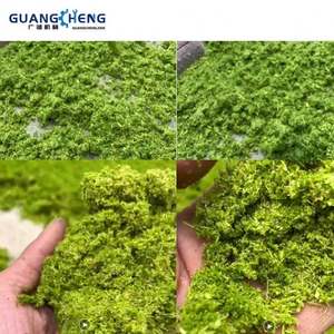 Yüksek kaliteli çok fonksiyonlu kuru ve ıslak çim ve ahşap kırıcı mısır saman kırıcı Huangzhucao tatlı fil kıyıcı - Product Image 4