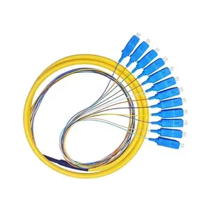 Glasvezel Bundel Pigtail Sc/Upc Connector 12 Kleur 0.9Mm Sm Ftth Pigtail