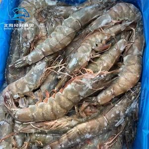 Camarones Blancos de Mar de Alta Calidad, Cultivados en Interiores, Congelados Frescos en Caja, BQF, Camarones Vannamei Vivos, Camarones Tigre sin Cabeza, Fritos - Product Image 6