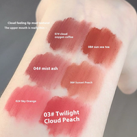 Brillant à lèvres liquide mat Rouge à lèvres velours minéral longue durée Baume à lèvres non collant à haute teneur en pigment Marque privée Maquillage avec logo personnalisé
