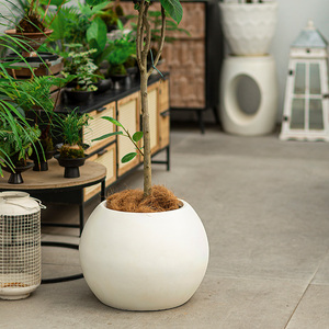 Kugelförmiger Blumentopf für Gummibaum Orchidee Leerstehend Haushalt Wohnzimmer Balkon Outdoor Grünpflanze - Product Image 4