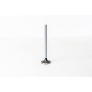 Valvola di scarico adatta per motori IVECO 4684089 - Product Image 1