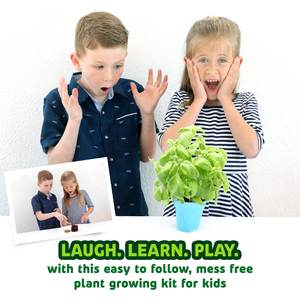 Ensemble de mini serre personnalisé pour enfants Kit de jardinage transparent avec irrigation goutte à goutte pour la culture de plantes à la maison - Product Image 4