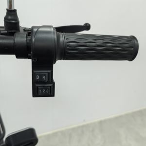 Patinete eléctrico de movilidad Holladay de 48V para ancianos y discapacitados, plegable y ligero, cuerpo abierto, diseño de 4 ruedas - Product Image 4