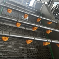 Automatische luchtbellenwasmachine voor groenten, fruit en voedselverwerkingslijnen