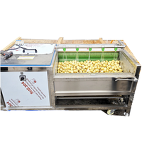 Automatische aardappelwas- en schilmachine met 304 roestvrijstalen trommelborstel voor de productielijn van aardappelchips en frites