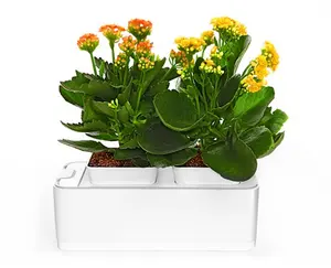 Kit hydroponique pour jardin d'intérieur, Mini Kit nft Vertical, fabriqué en chine, système de culture hydroponique pour plantes à domicile, vente directe d'usine,