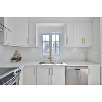 Armoires de cuisine modulaires de style shaker américain haut de gamme, personnalisation complète de la maison, ensemble d'armoires prêtes à assembler
