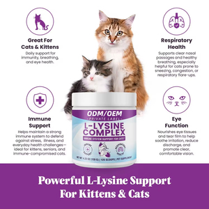 Poudre de <span class=keywords><strong>L</strong></span>-<span class=keywords><strong>Lysine</strong></span> OEM/ODM pour chats et chatons – Soutien immunitaire et santé respiratoire - Product Image 3