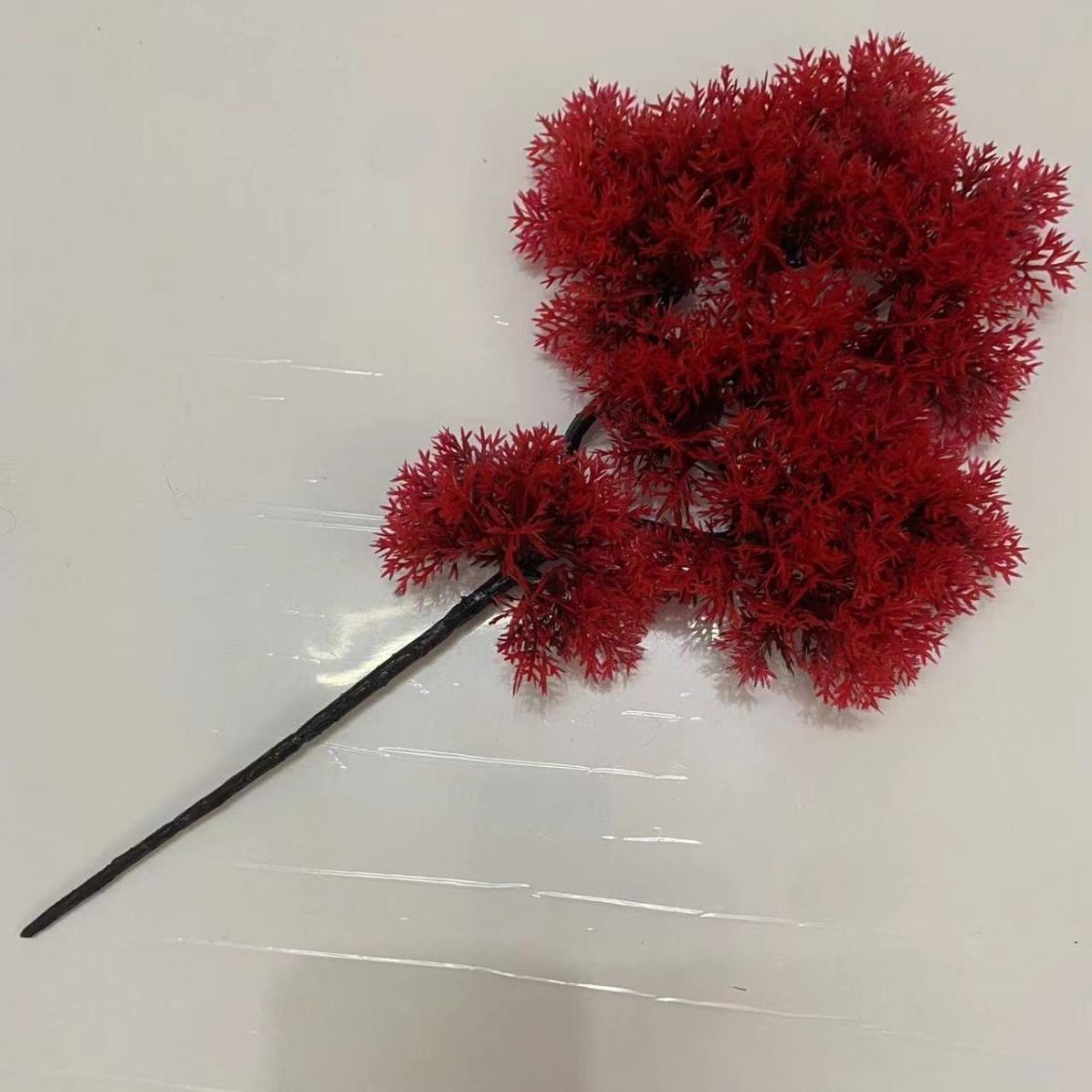 Tuya roja de 45 pedidos