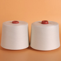 High Quality Mc Indonesia Price With Price Melange Kota White Yarn 20/3 26S 30S 80S Spung Ring Yarn 100% Polyester Yarn