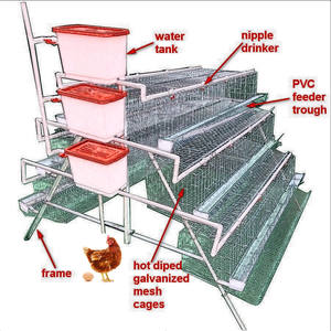 96 kuş kapasiteli kanatlı pil kafesi kenya katman tavuk tavuk kafesleri 1000 kuşlar için küçük çiftlikler üreme planı - Product Image 1