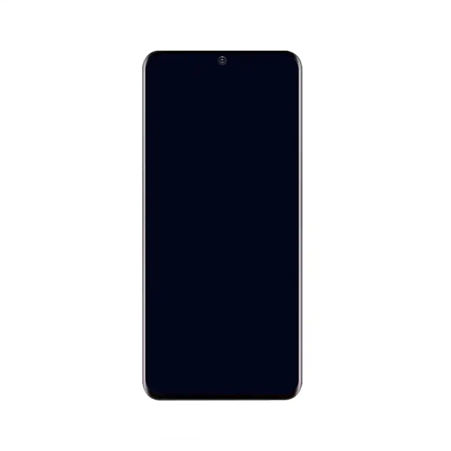 Original Size OLED Display Assembly Screen Replacement Mobile Phone Spare Part LCD with Frame for Samsung Galaxy S20 S20+