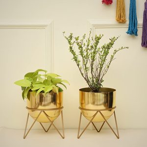 Modern Golden Glossy Metal Planter with Gold Plated Stand <b>for</b> Indoor & Outdoor <b>Plants</b> Home & Office Decor <b>Table</b> Top Floral Pots - Product Image 2