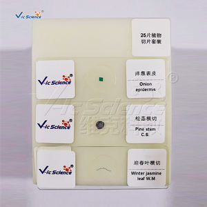 Ensembles de lames de spécimen en verre de microscope scolaire pour les projets <span class=keywords><strong>d</strong></span>'éducation en zoologie et en histologie de l'<span class=keywords><strong>entomologie</strong></span> botanique - Product Image 5