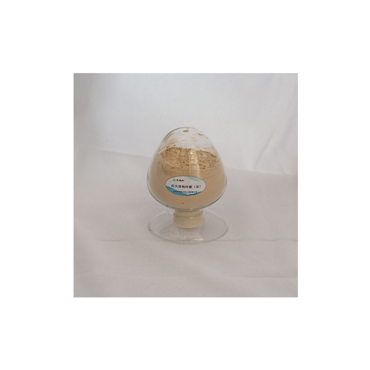 Высококачественное удобрение Bacillus Jelly Bacillus Megaterium