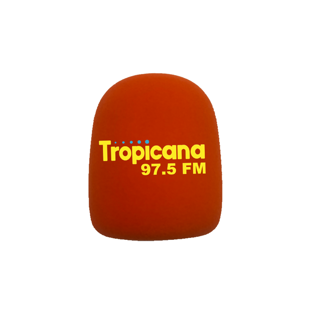 Customized Logo Flocking Microphone Foam Cover Custom Print Mark  Windshield Sponge Sleeve TV Station Interview for RODE POD MIC