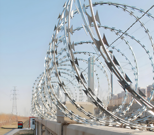 <span class=keywords><strong>Malla</strong></span> <span class=keywords><strong>de</strong></span> <span class=keywords><strong>Alambre</strong></span> <span class=keywords><strong>de</strong></span> Púas <span class=keywords><strong>de</strong></span> Acero Inoxidable al por Mayor <span class=keywords><strong>para</strong></span> Cercas y Protección - Product Image 6