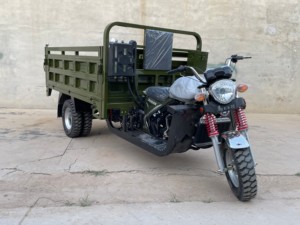 Tricycle cargo puissant à essence 300cc, carrosserie ouverte, 5 roues, avec démarrage électrique/à manivelle, pour charges lourdes et livraison intensives - Product Image 4
