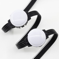 Sumber Cahaya Titik LED RGB 20mm 12V IP67 Tahan Air Digital Node untuk Papan Nama Taman Hiburan dan Dekorasi Acara