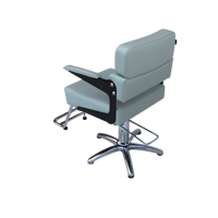 [ECCLIM]JACOB 200 EC-006 Chaise de Salon de Coiffure Commerciale en Acier Inoxydable Design Moderne Construction Robuste Aspect Épuré