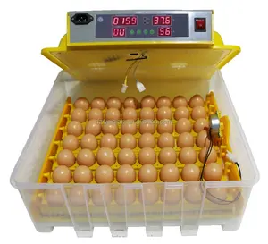 household new German technology fertile hatching eggs chicken incubator Professional Manufacturer The Best China egg incubators