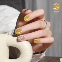 Logo personnalisé 48 Couleurs Super Cat Eye Gel Fine Style Japonais Cat Eye Nail Gel Clear Cat Eye Gel Polish Set