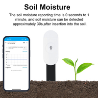 Haozee Zigbee3.0 capteur d'humidité du sol intelligent détecteur d'humidité de la température assistant domestique Zigbee2mqtt Compatible contrôlé par application