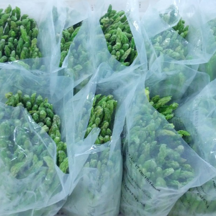 Wholesale New Fresh Tender Freezing IQF Frozen Green Asparagus With BRC Approved BEST PRICE FROM China