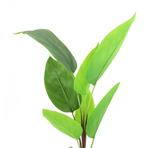 <span class=keywords><strong>Planta</strong></span> Artificial en Maceta de 71 cm de Altura, <span class=keywords><strong>Planta</strong></span> de <span class=keywords><strong>Canna</strong></span> para Decoración de Interiores, Hogar y Cafetería - Product Image 2