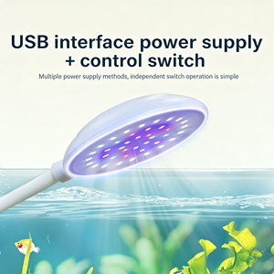 Lampe LED à pince pour aquarium, moderne, alimentée par USB, à spectre complet, 7W, à intensité variable, veilleuse <span class=keywords><strong>de</strong></span> salon pour l'observation des poissons Betta - Product Image 5