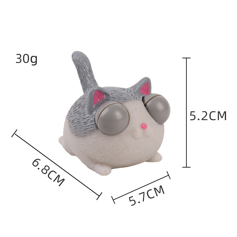 Chat gris en colère qui louche