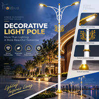 Poteau d'éclairage décoratif à faible MOQ avec hauteur, couleur et motif personnalisables pour parcs et quartiers