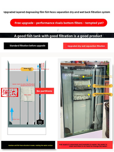 Op Maat Gemaakt Groot Glazen <span class=keywords><strong>Aquarium</strong></span> Modern Rechthoekig <span class=keywords><strong>Aquarium</strong></span> Voor Levende Milieuvriendelijke Zeevissen Display Voor Huishoudelijk Gebruik Binnenshuis - Product Image 6