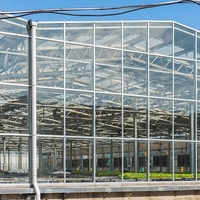 Serre intelligente en verre avec système de contrôle climatique pour la culture hydroponique de légumes et la production commerciale
