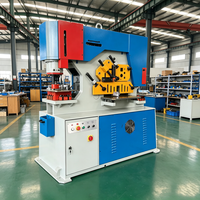 Machine de découpe, de poinçonnage et de rainurage hydraulique robuste pour atelier de fabrication métallique