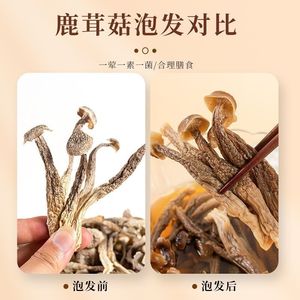 Lu Rong Gu Raw Precio barato Pilose Antler Mushroom Deer Velvet Antler Whole Dry Fried Chicken Mushroom Fungus para la venta - Product Image 2